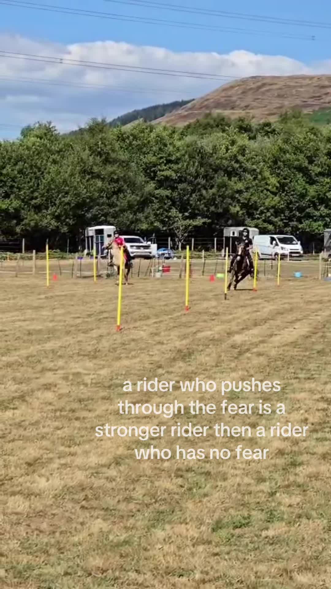@shelbyshorseaccount