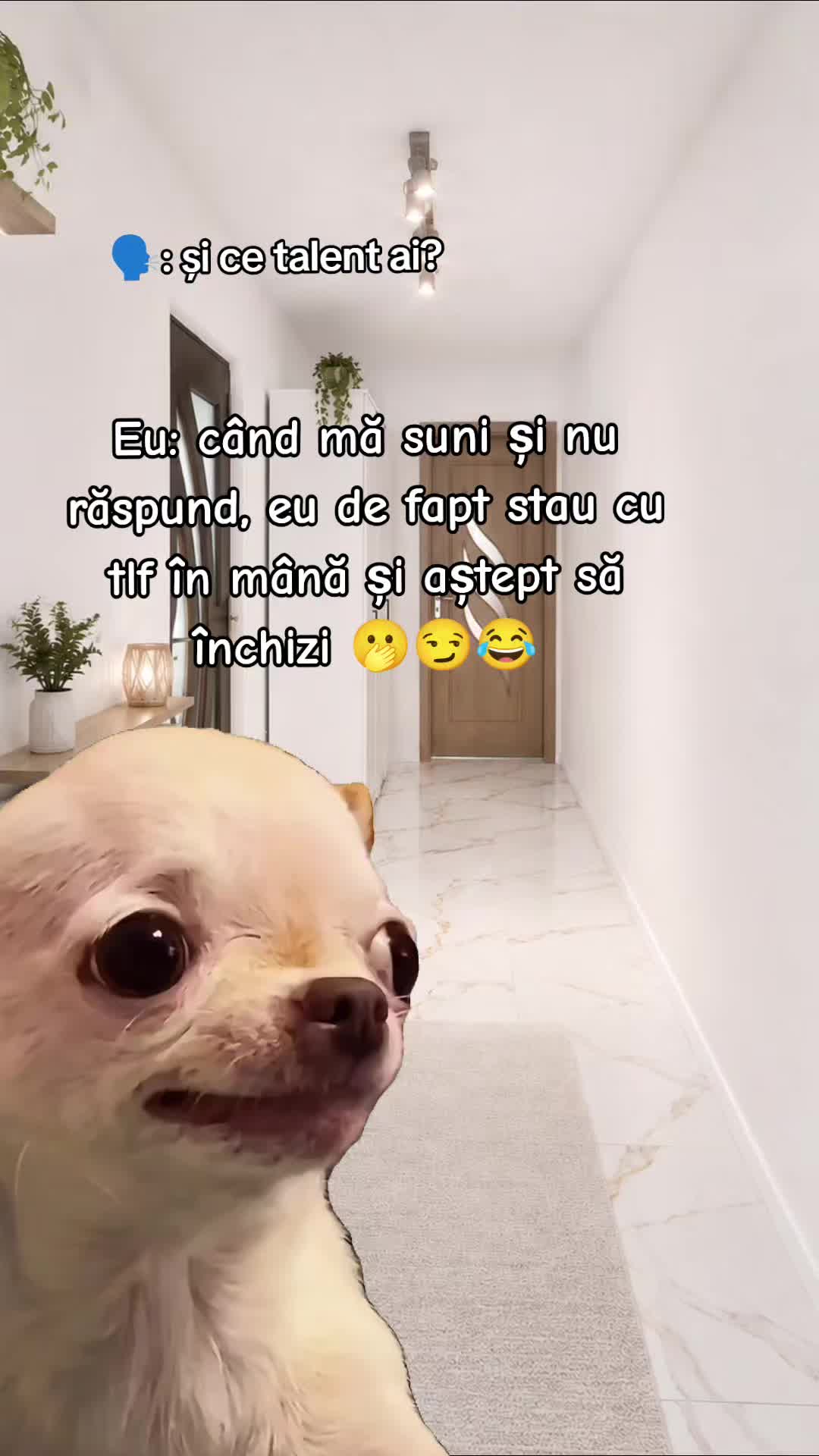 @❤️Teo❤️
