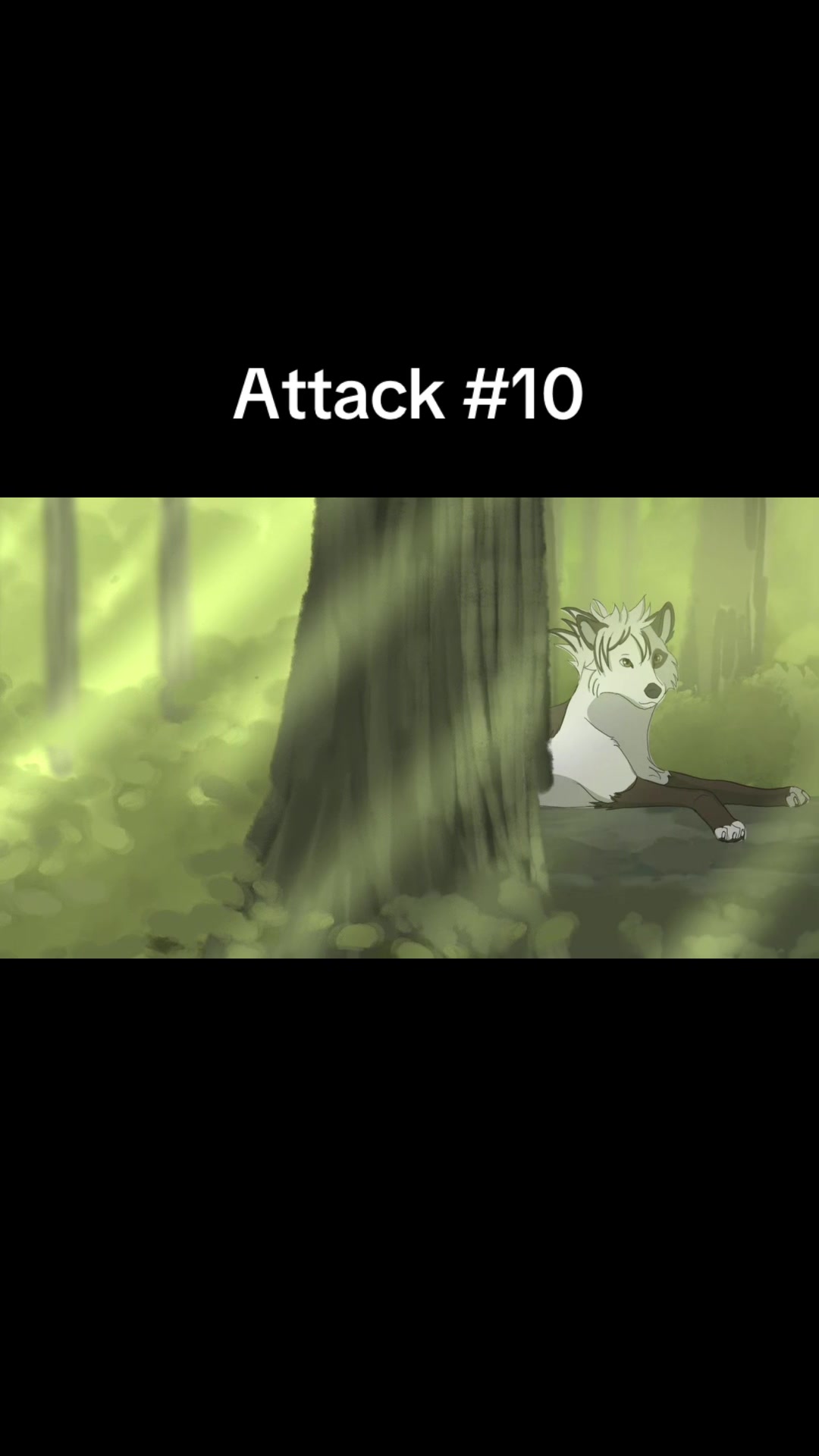 @Cattalents
