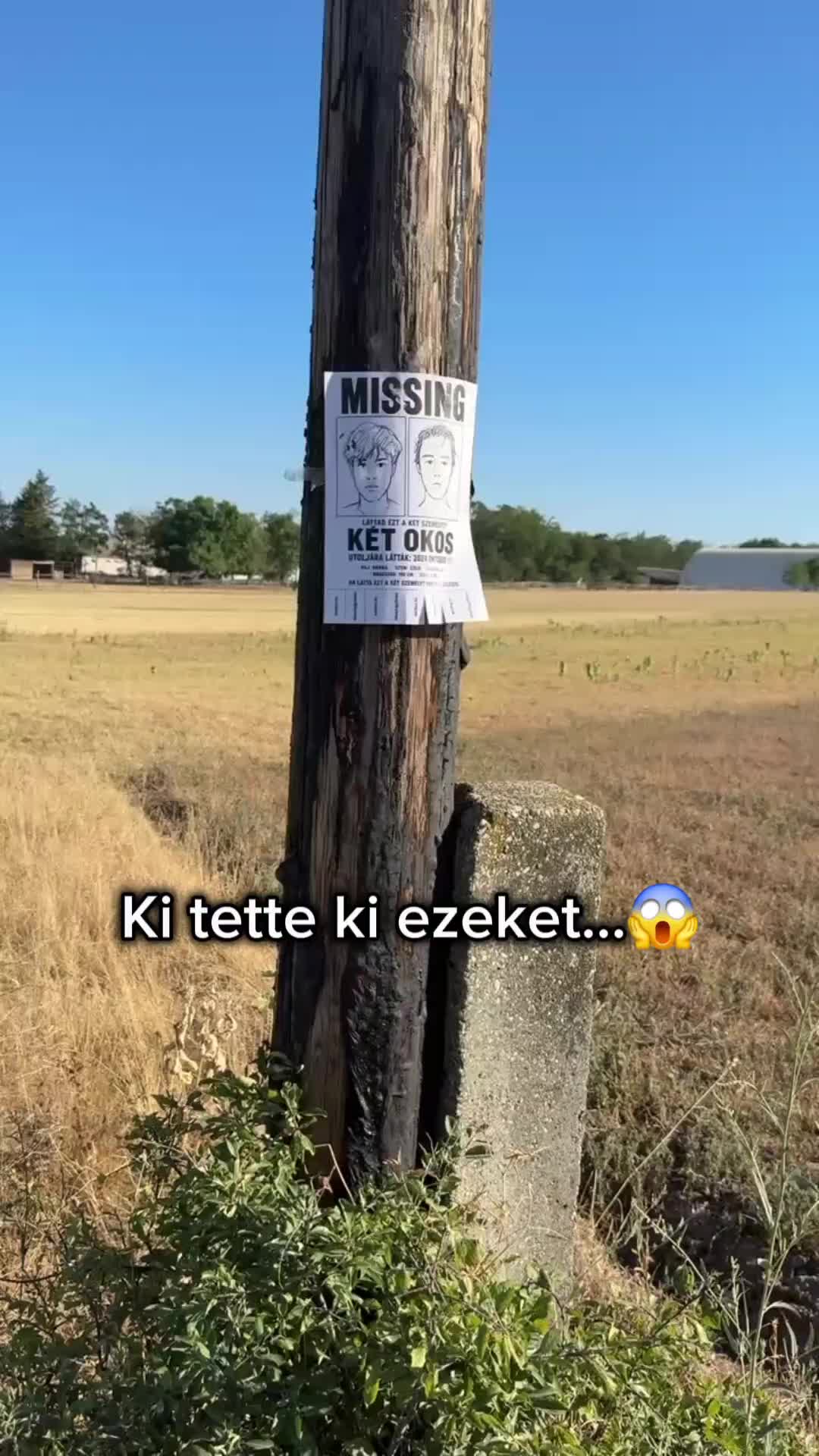 @77patrik