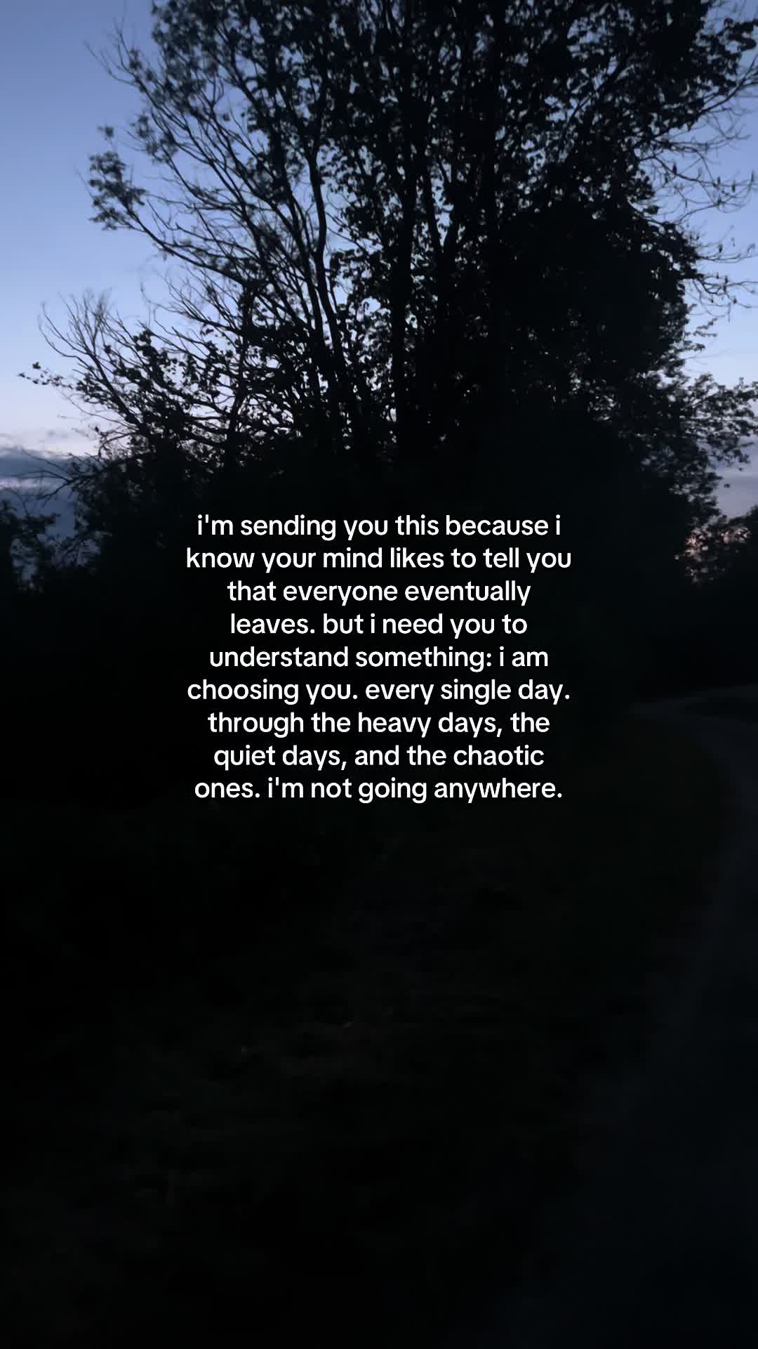 @✧