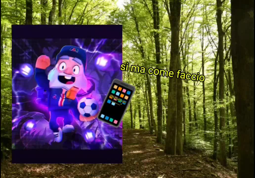 @matteomedved2028