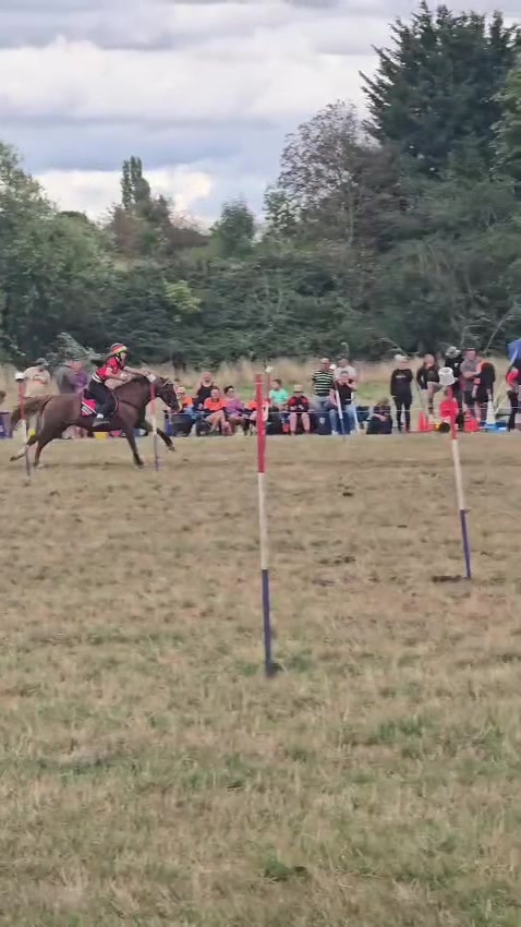 @shelbyshorseaccount