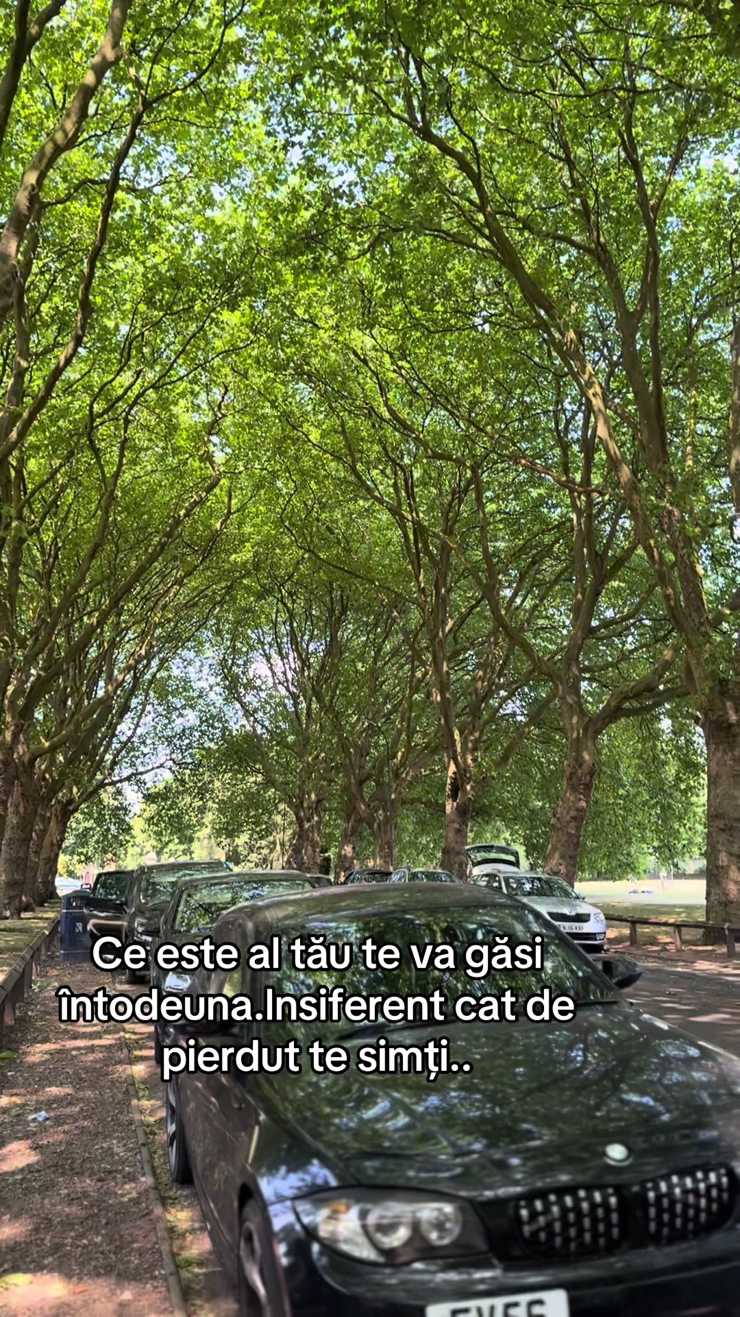 @Cezar.H
