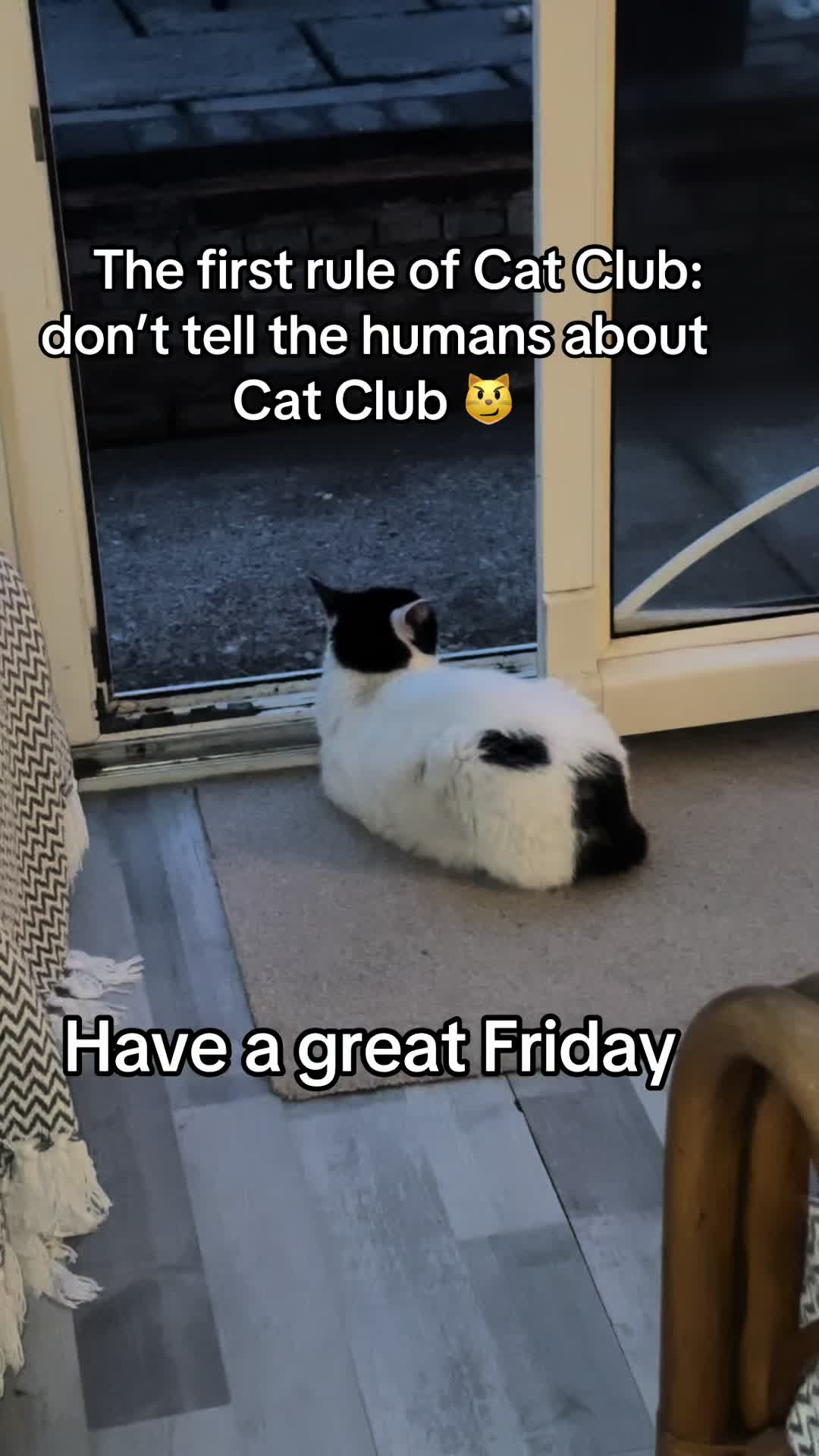 @crazycatladyxfour