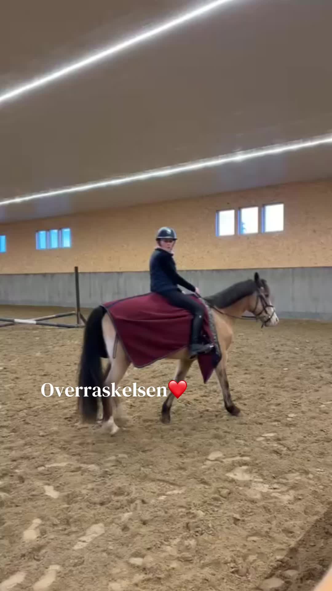 @❤️Celine og Dundie❤️