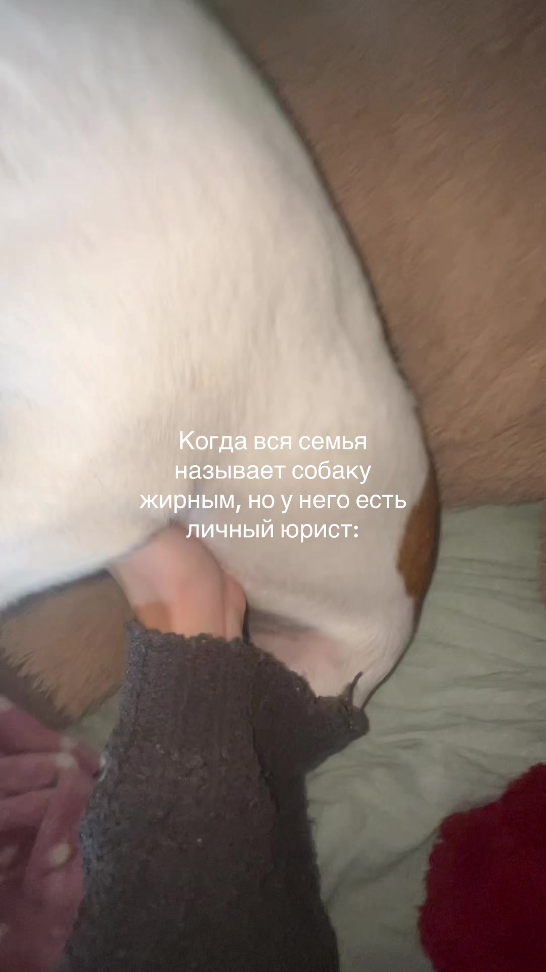 @Toryy339