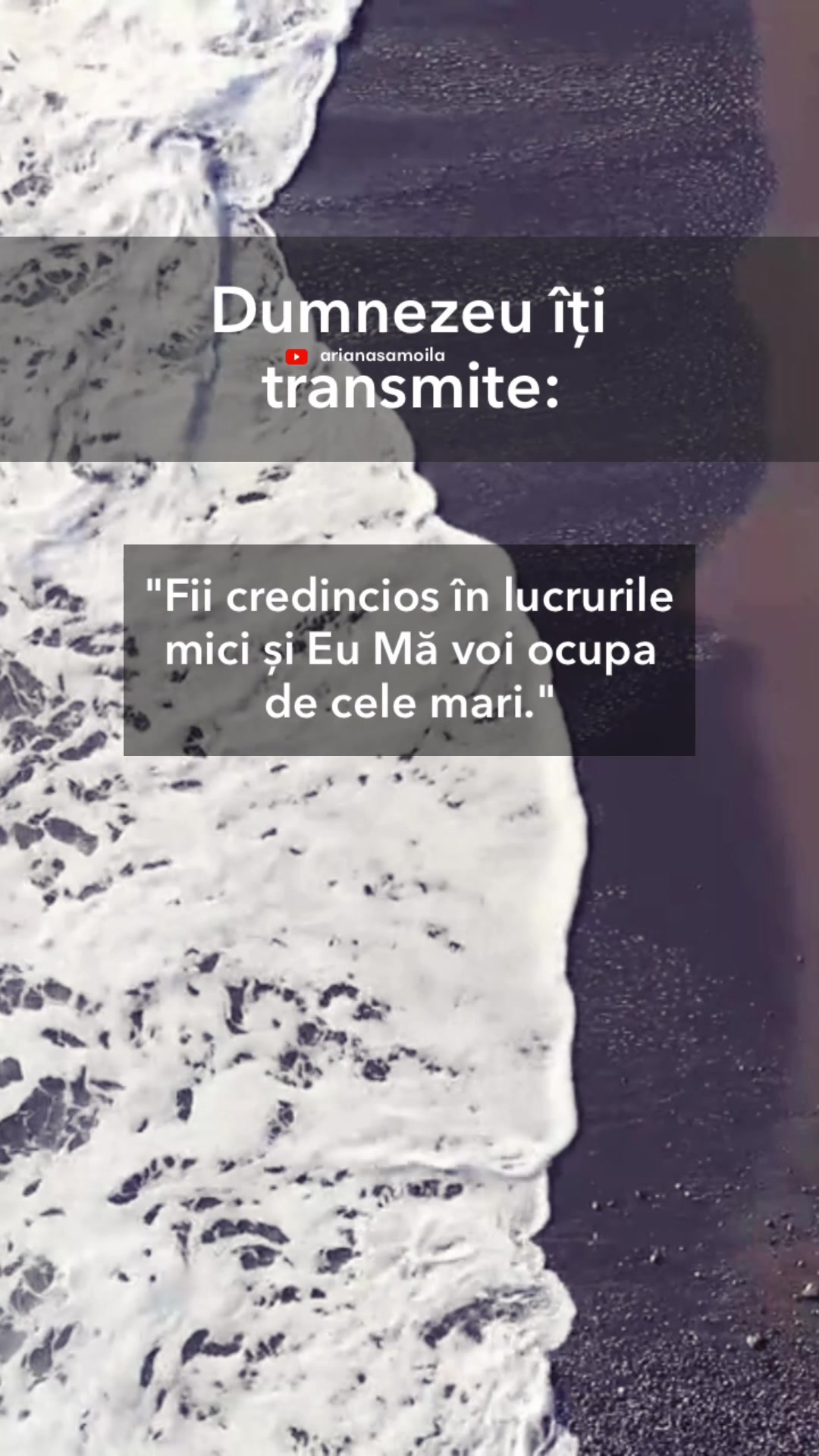 @Ariana Samoilă