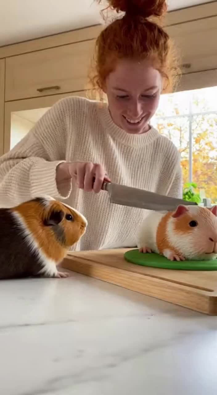 @PandaPow
