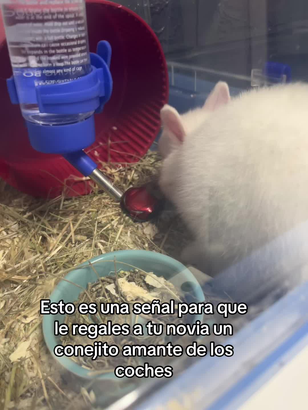 @jota 🇷🇴