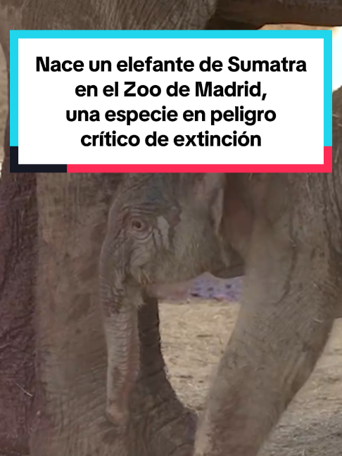 @El País