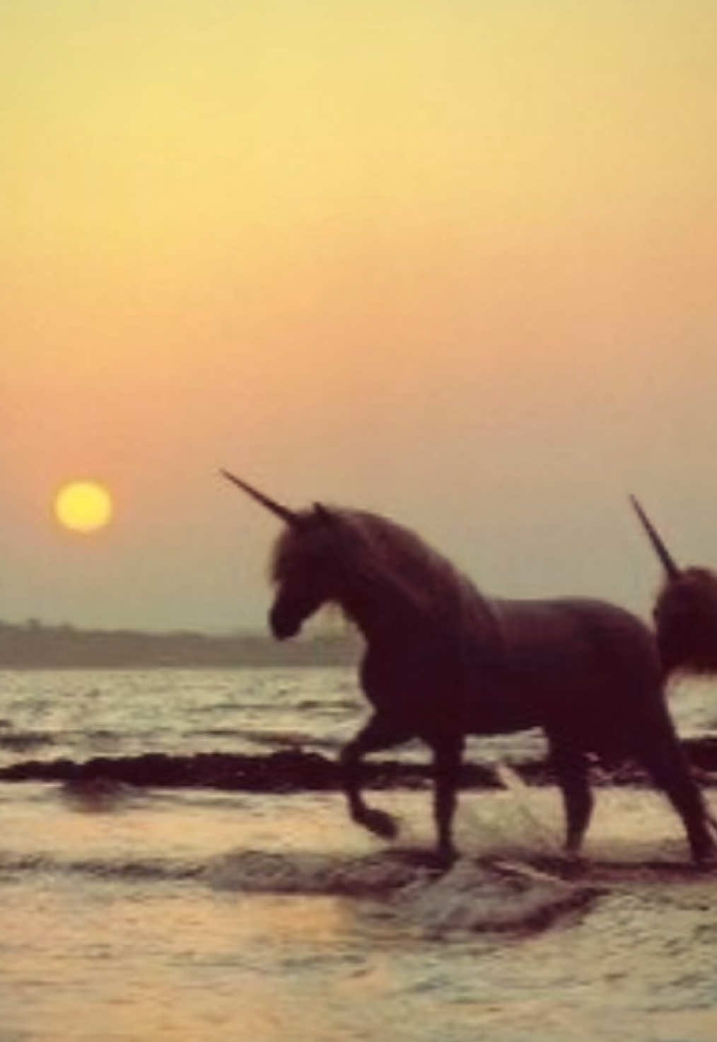 @ᥱ᥎ᥲᥒgᥱᥣιᥒᥱ🧁🦄 °❀.ೃ࿔*