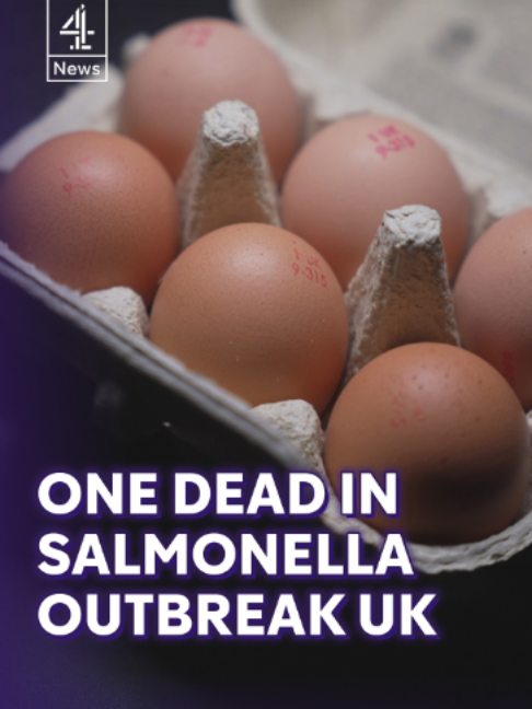 @Channel 4 News