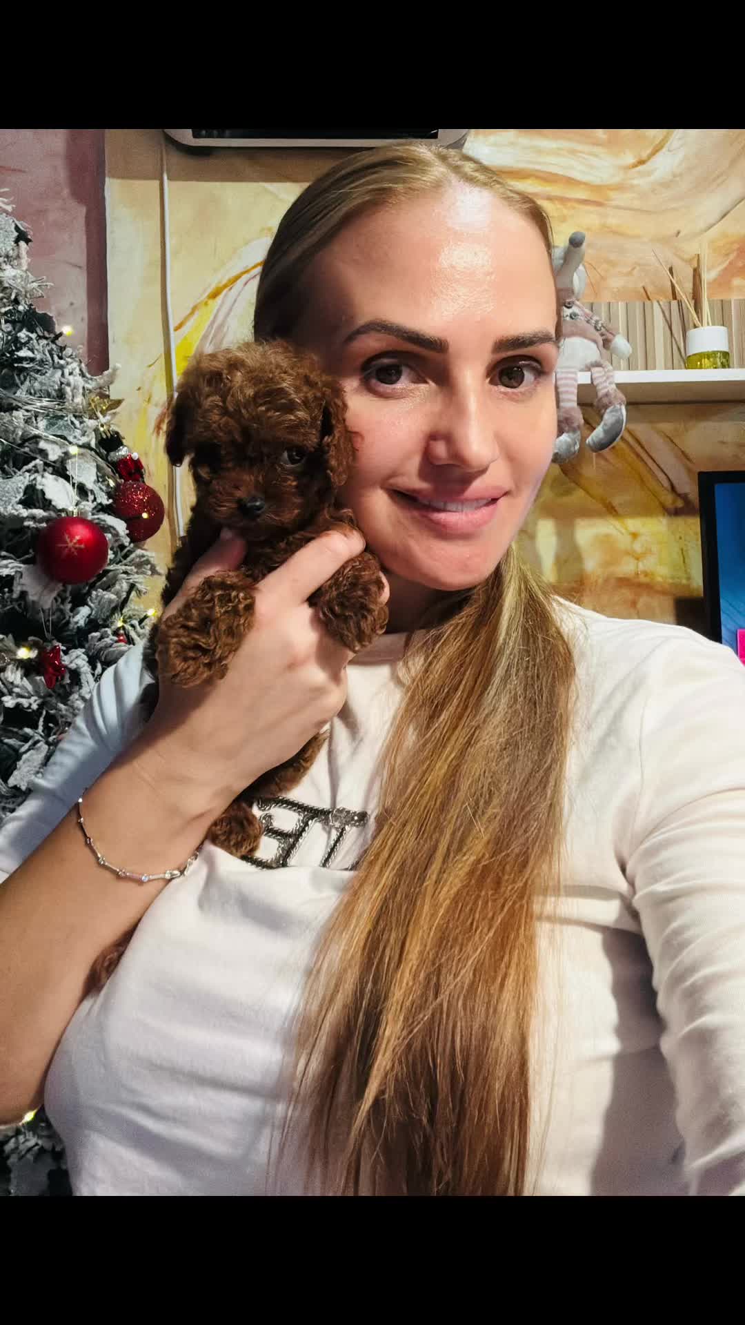 @Caniche Barcelona