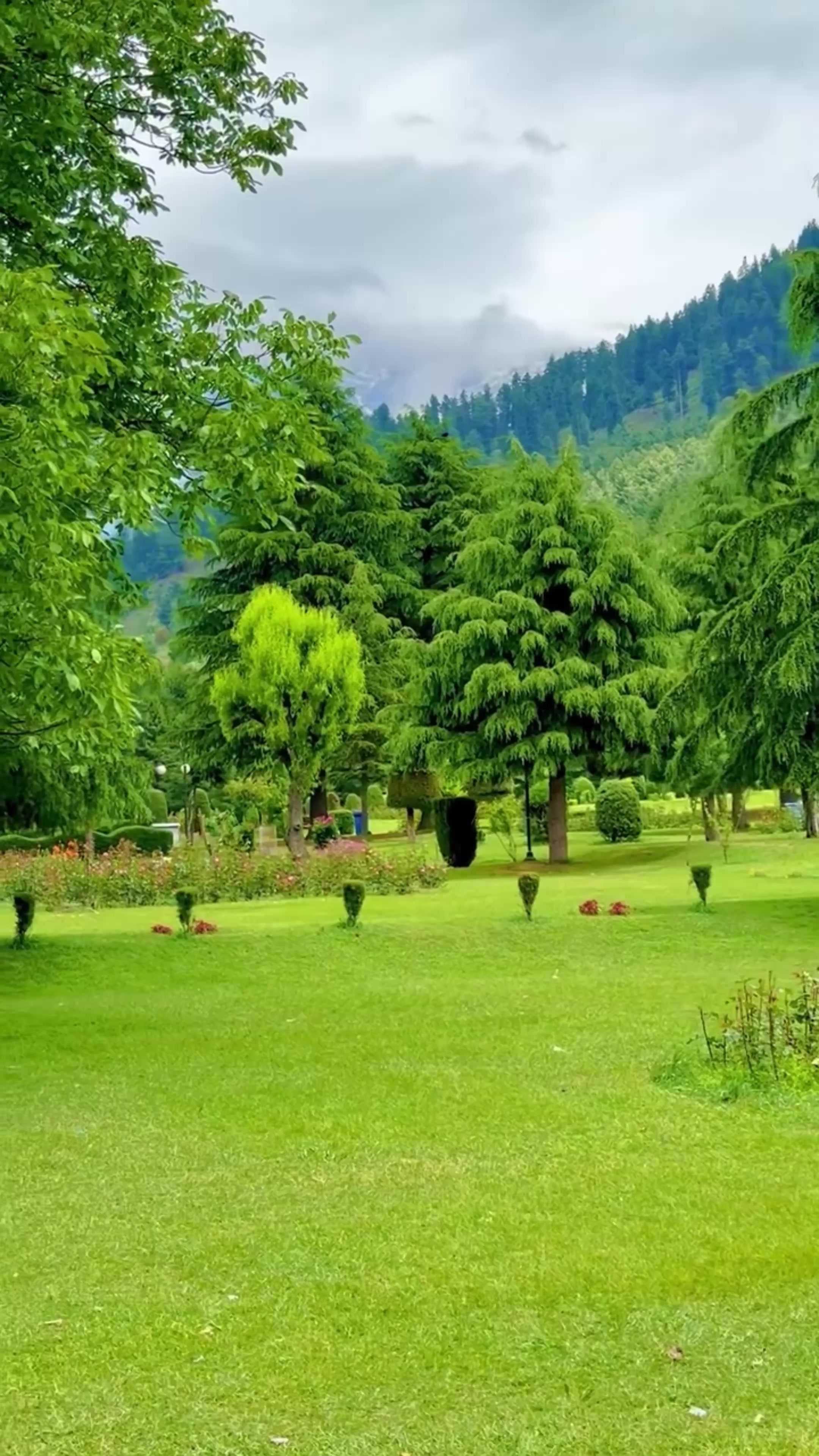 @World 🌍 beauty