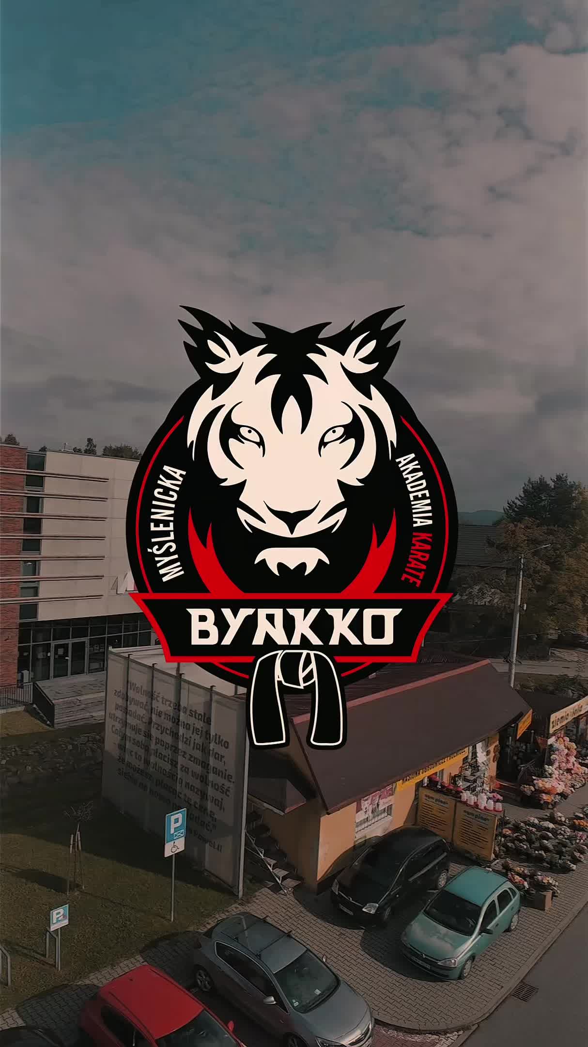 @mak_byakko