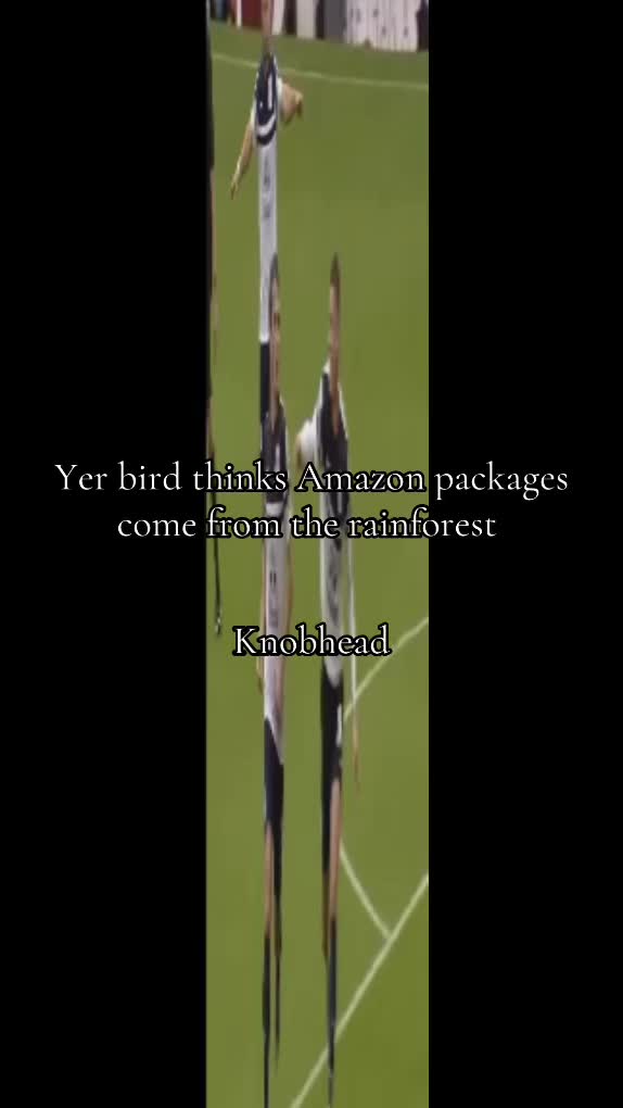 @DS1Halberd