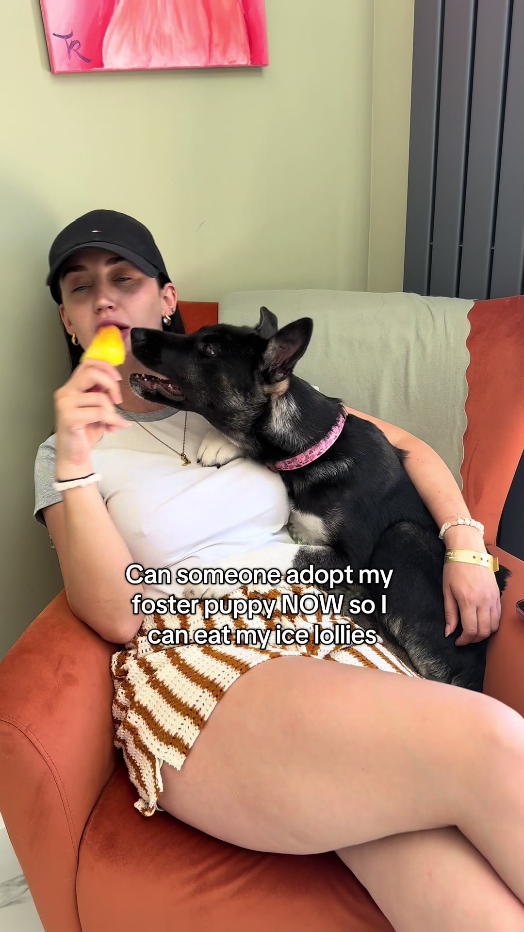 @Sheldon The Retriever