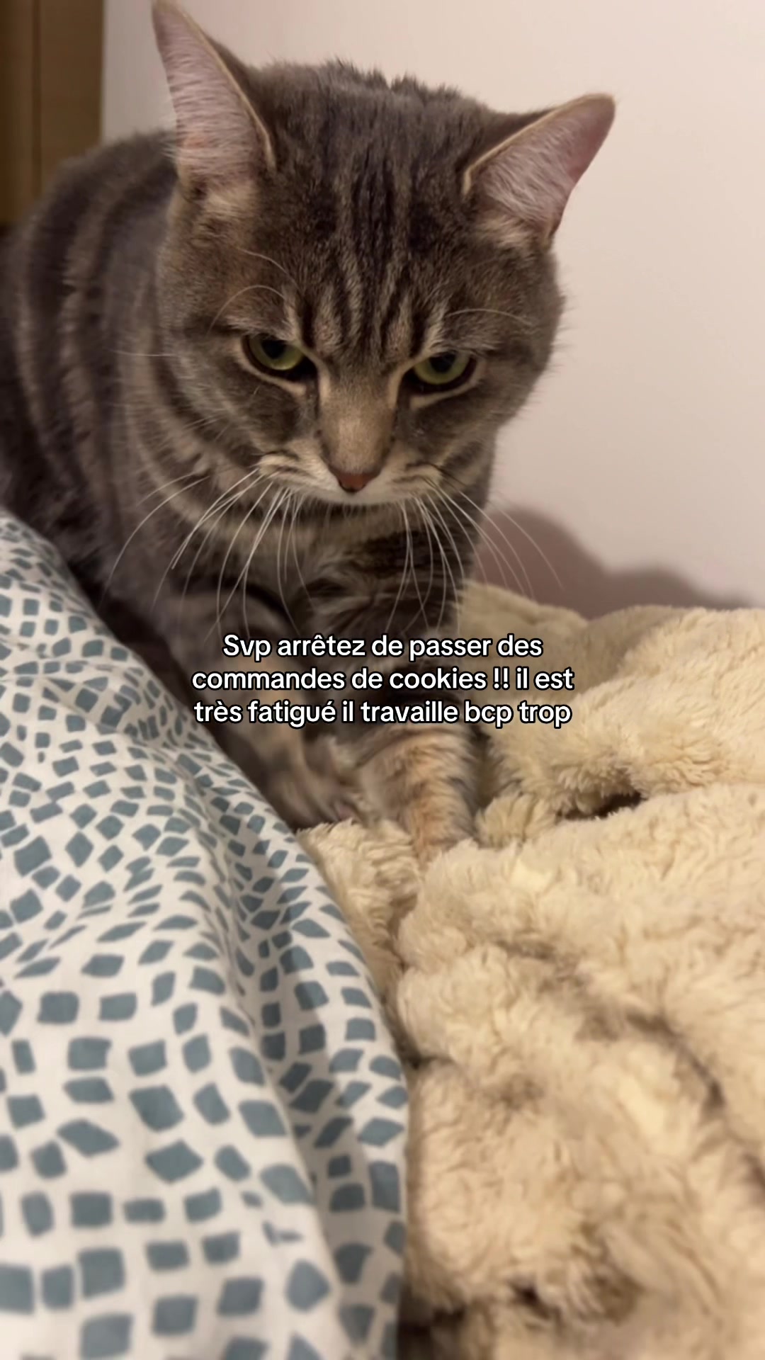 @A̷d̷a̷m̷