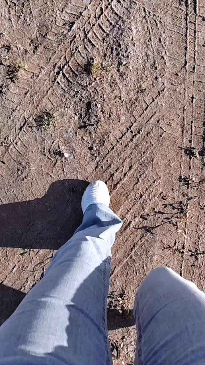 @Ramona 0909🐞