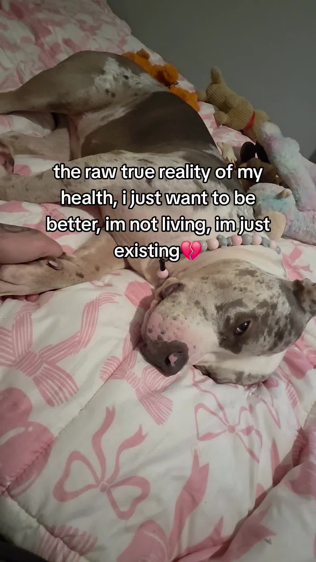 @kirsty+starlight the xl bully