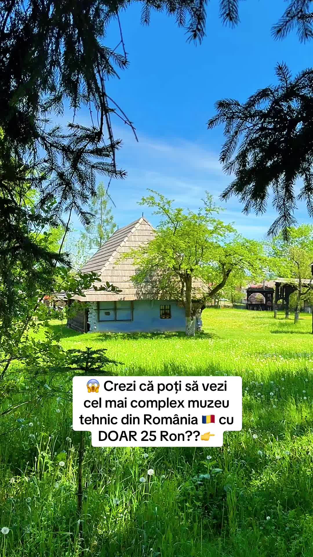 @Anapedia
