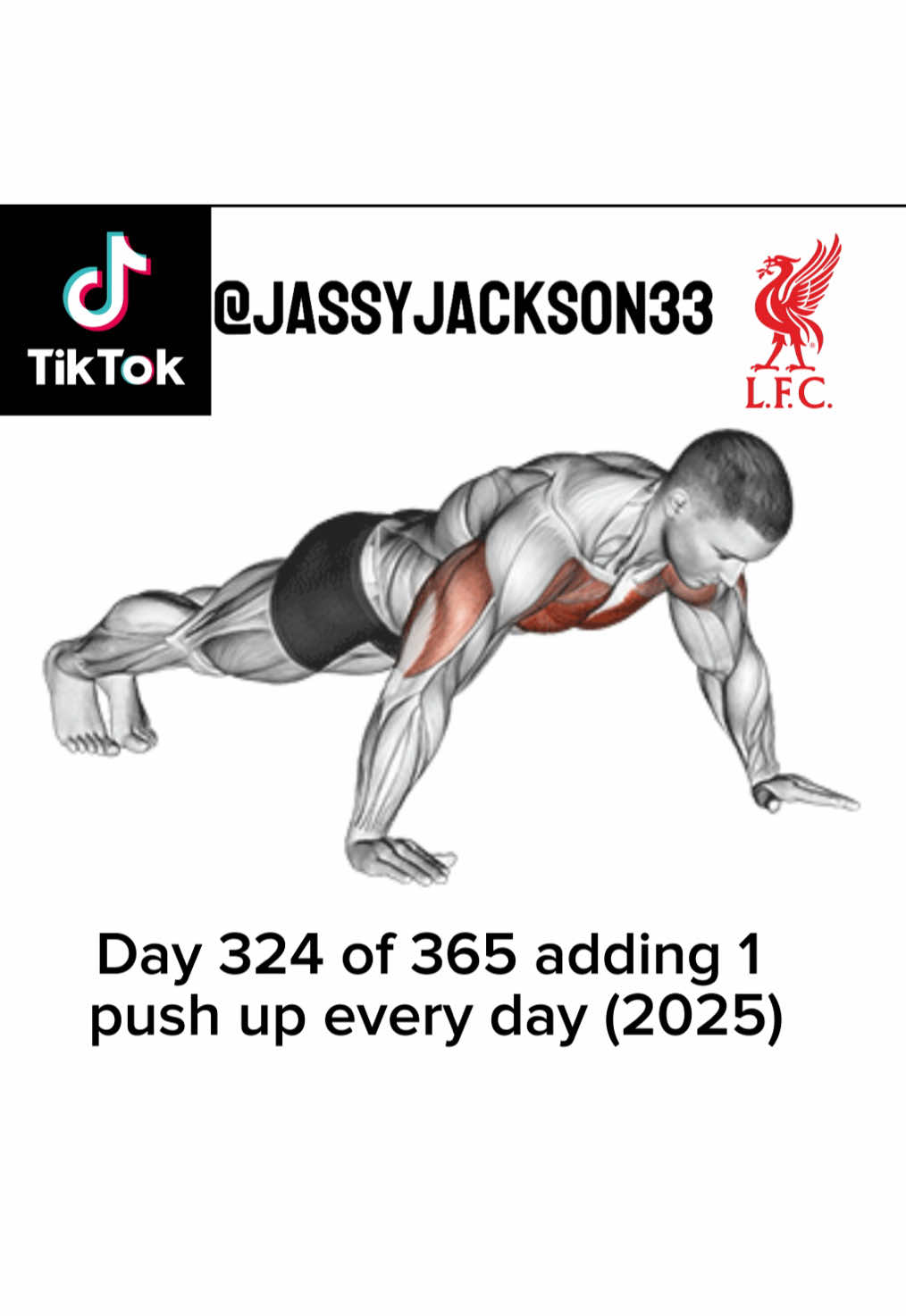 @JassyJackson33