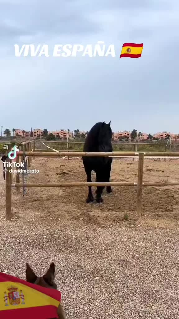 @MUJER ESPAÑOLA 🇪🇦