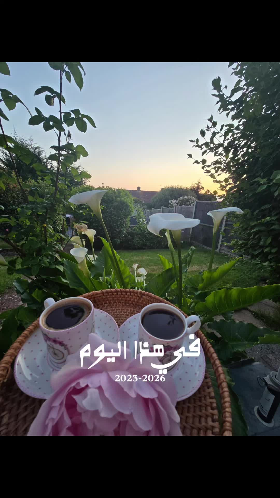 @🤍OLA OMAR 🤍