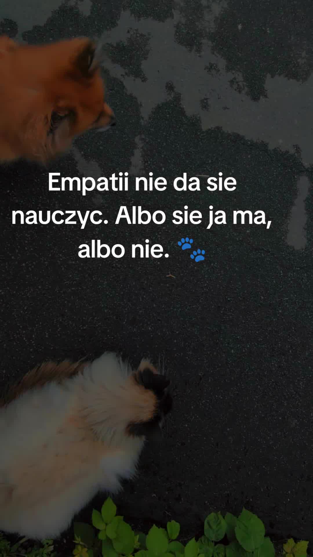 @MadziaLena888