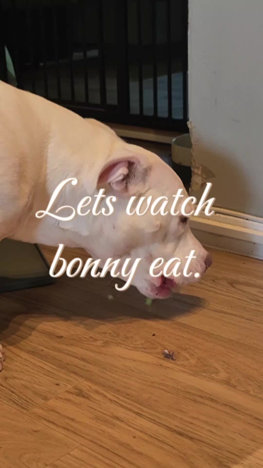 @🦄⃤𝓟𝓲𝓯𝓯 𝓪𝓷𝓭 𝓹𝓾𝓹𝓼