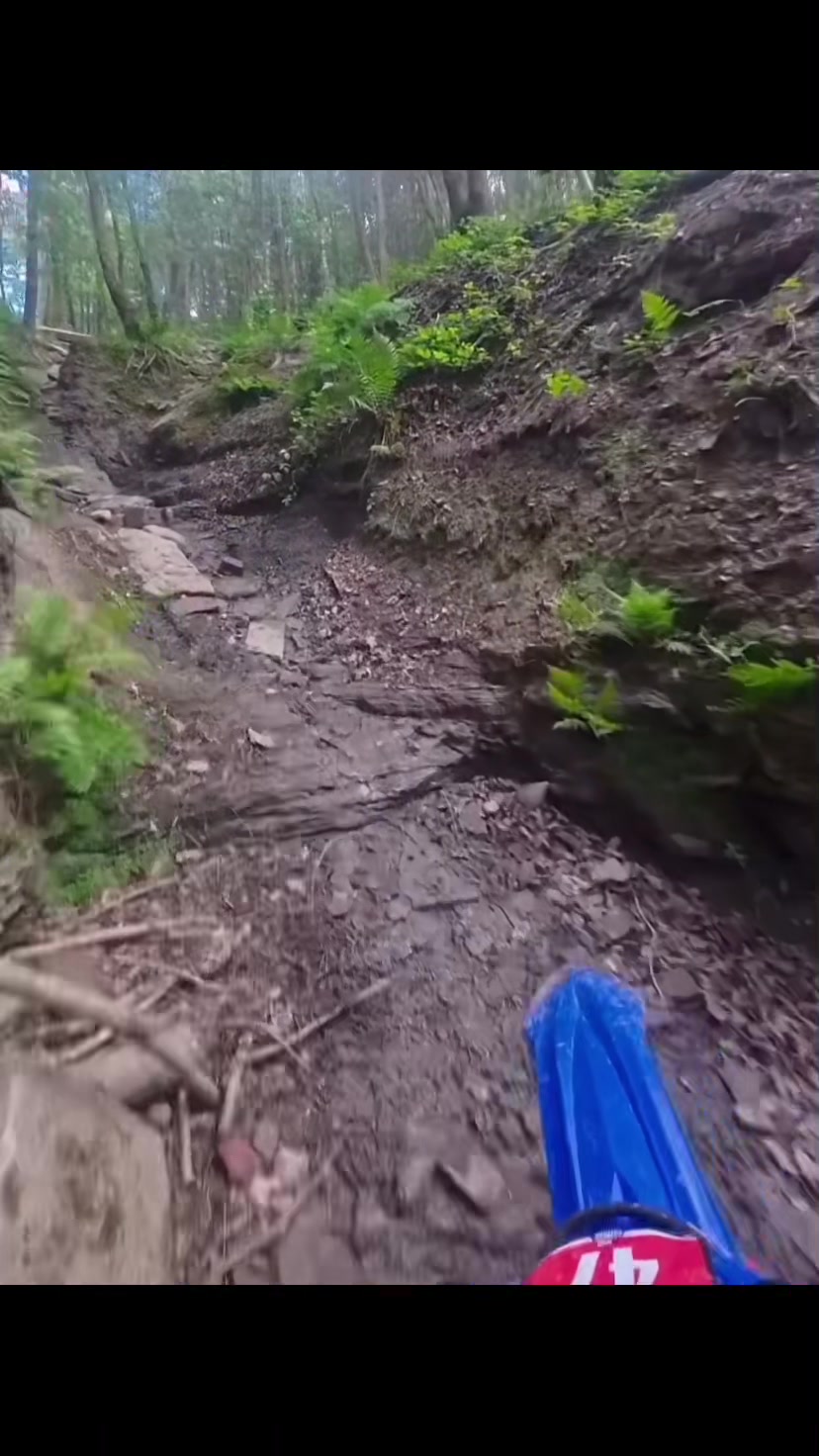 @MX_TikTok