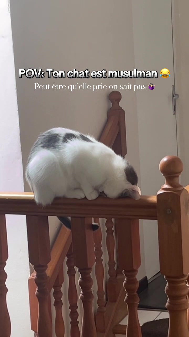@sarapariss