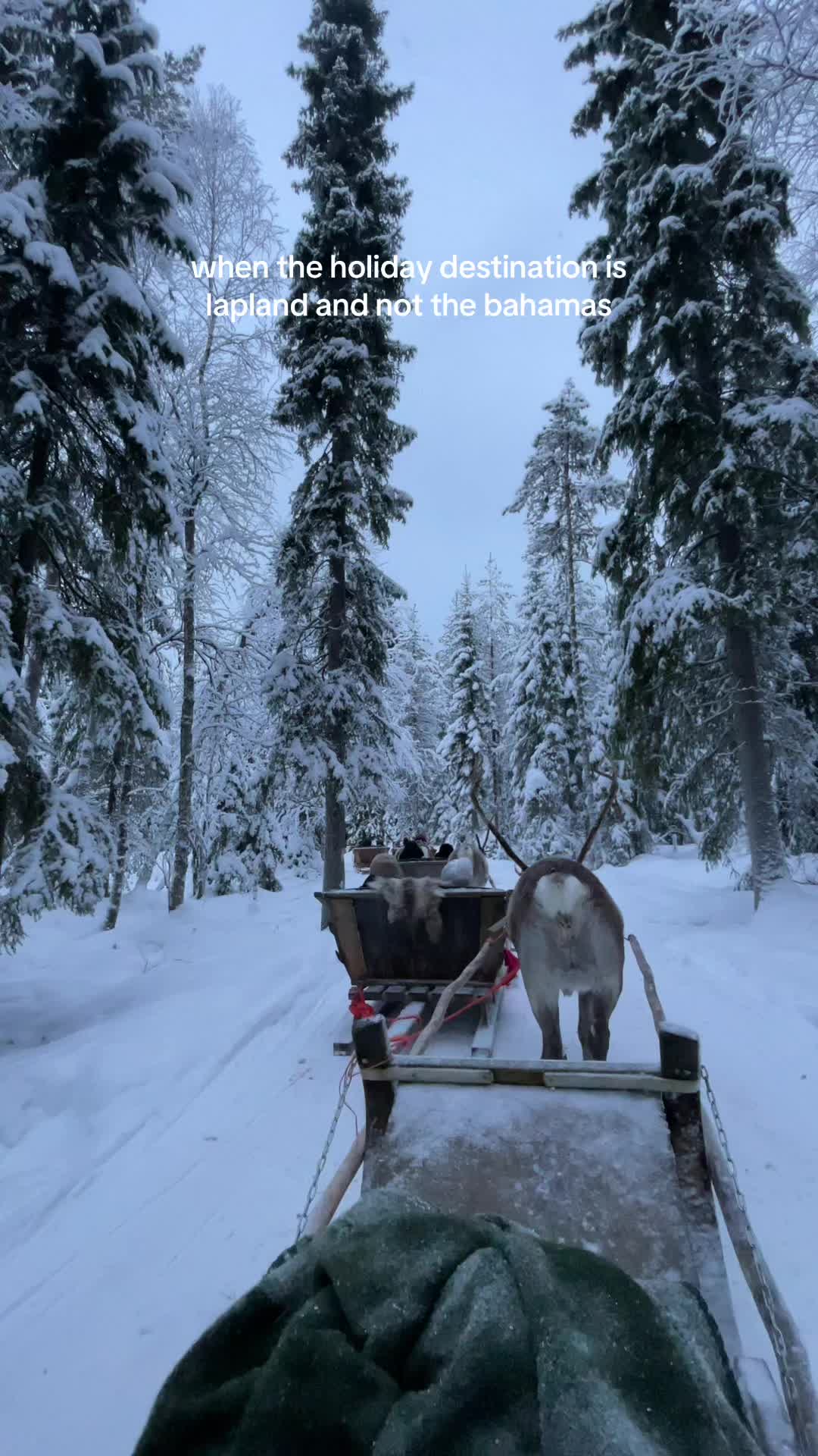 @memi☀️