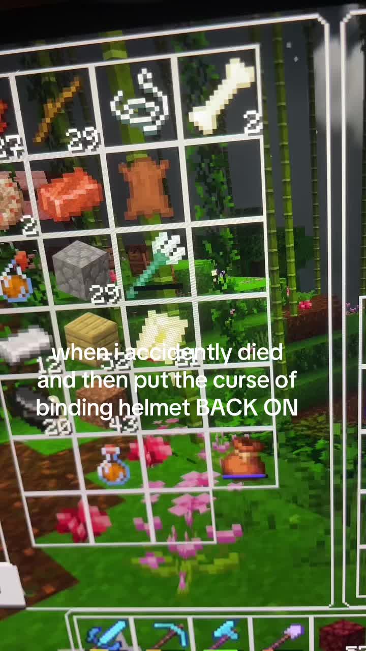 @🐞