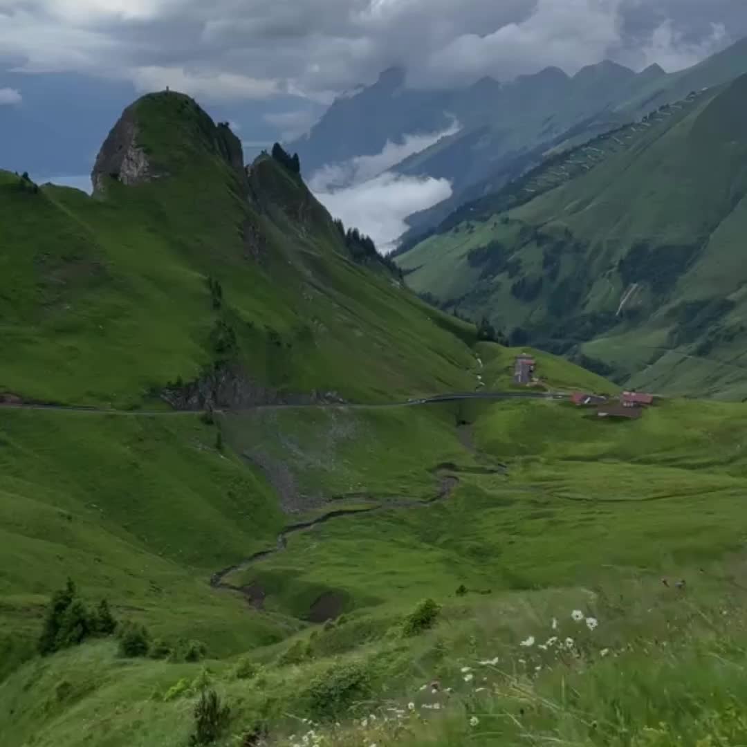 @ʟᴏꜰɪ ᴅʀᴇᴀᴍꜱ