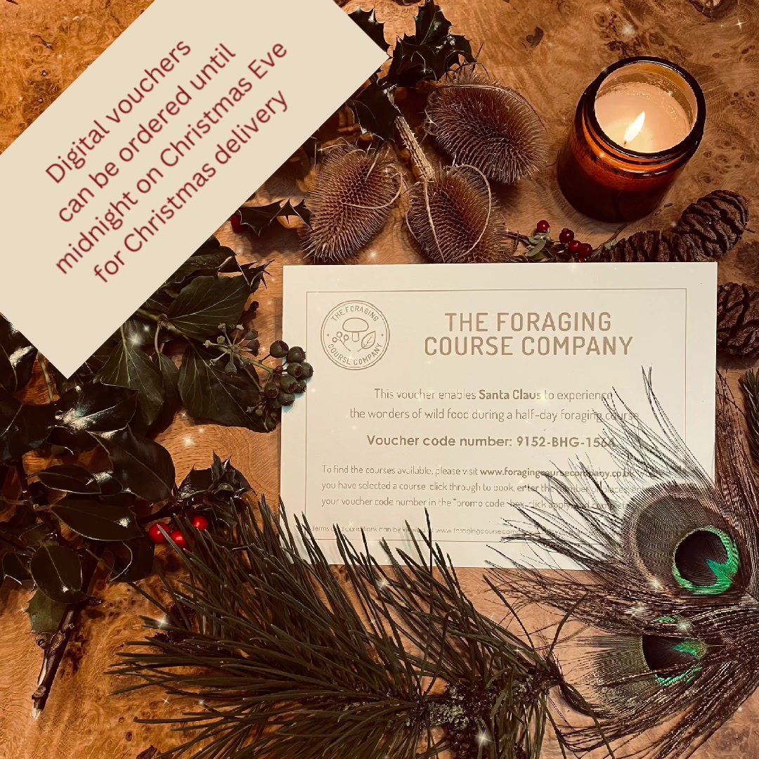 @the.foraging.course.co