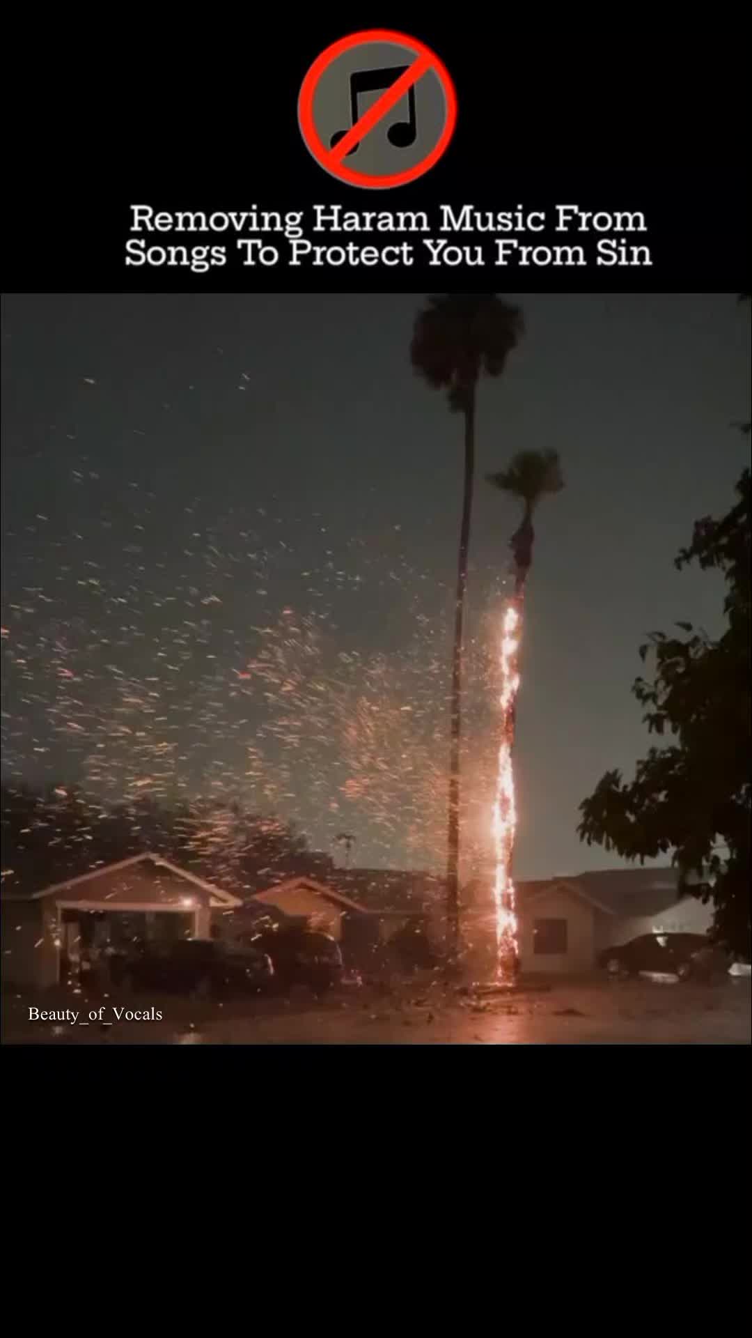 @𝐁𝐞𝐚𝐮𝐭𝐲_𝐨𝐟_𝐕𝐨𝐜𝐚𝐥𝐬