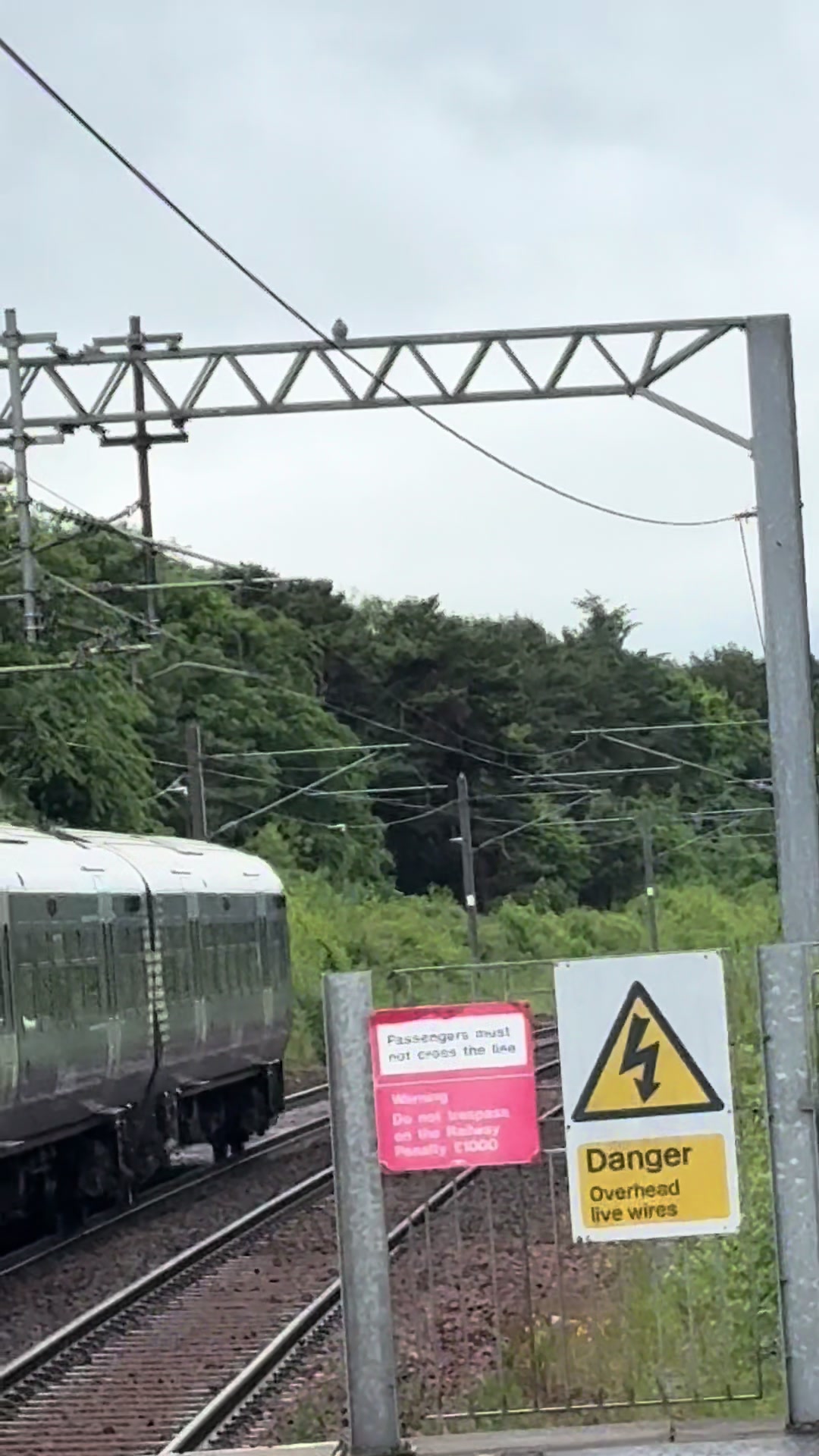@gothictrainlad