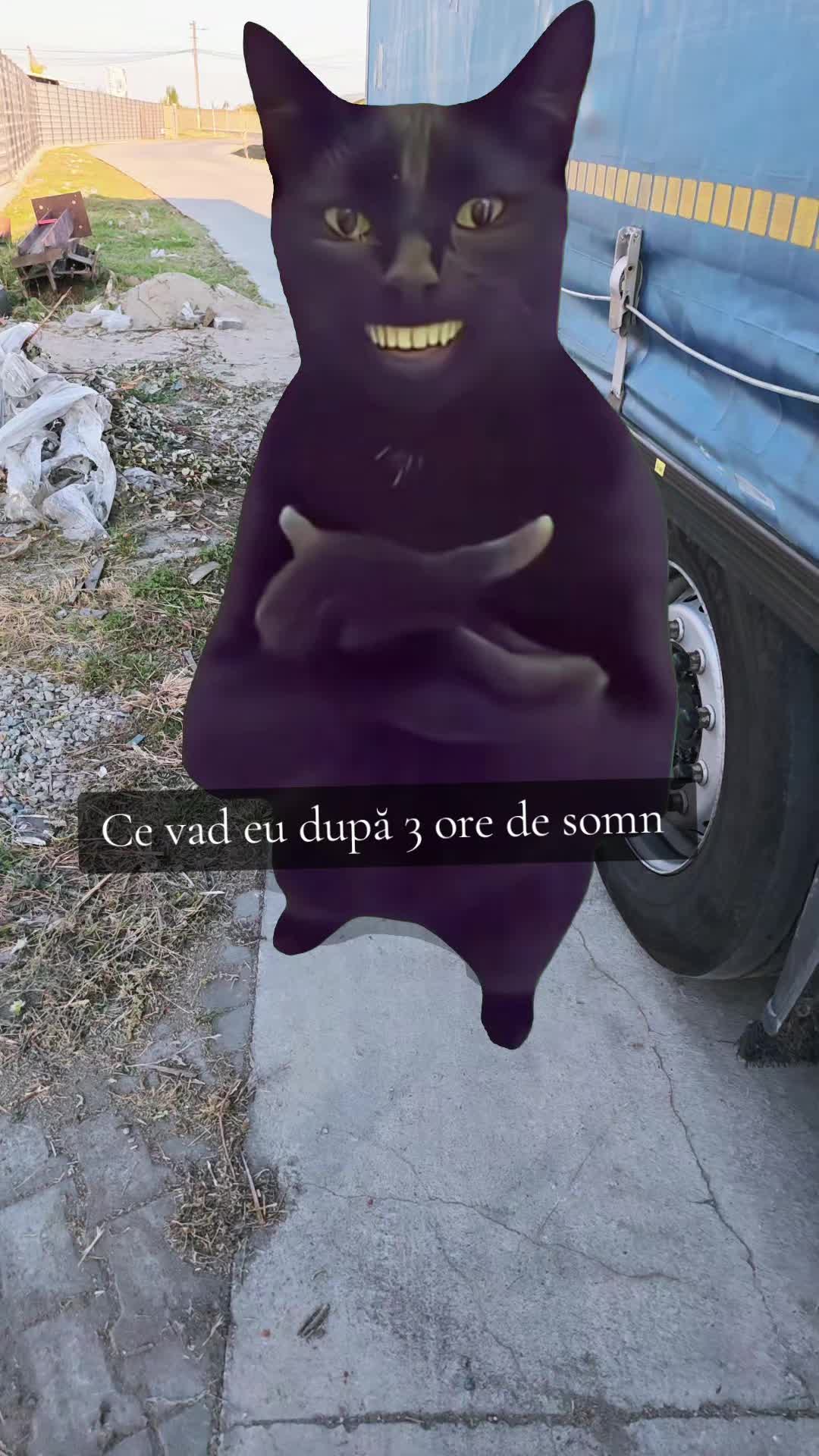 @✝︎Deiu99🚛