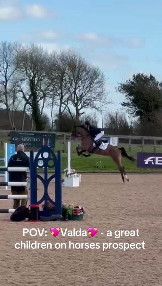 @markedwardsshowjumping