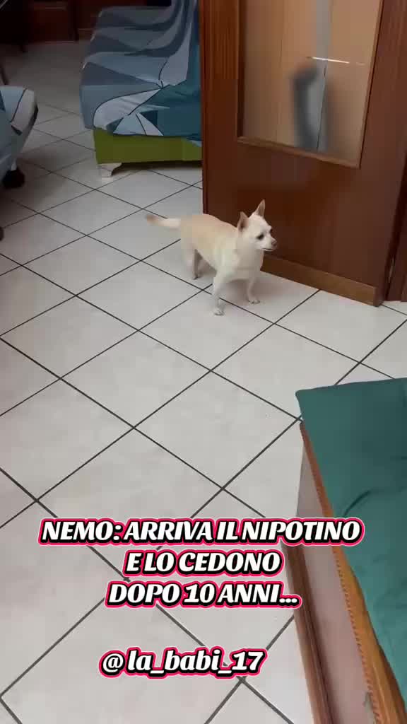 @la_babi_17