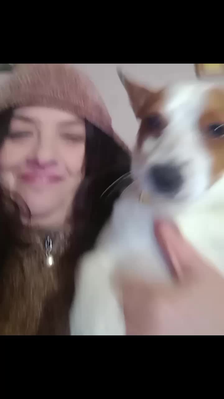 @Amo il lupo tutti gli animali
