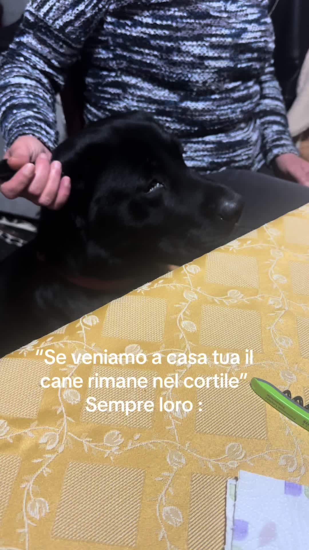 @LorenaChessa