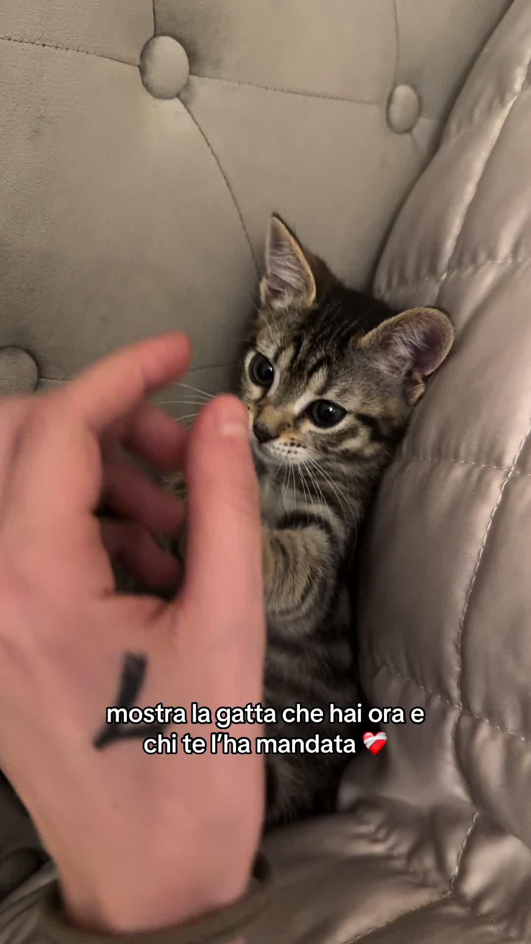 @Desiree Giuffrida