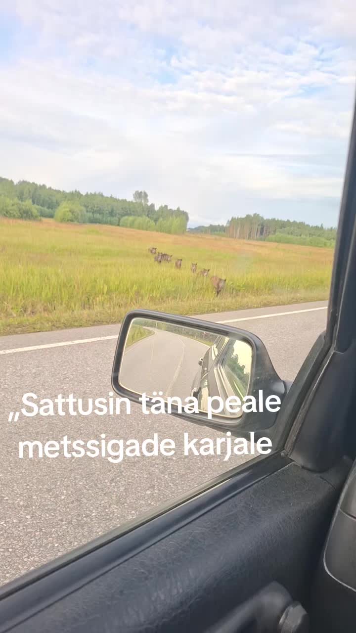 @Tauri Kalmus