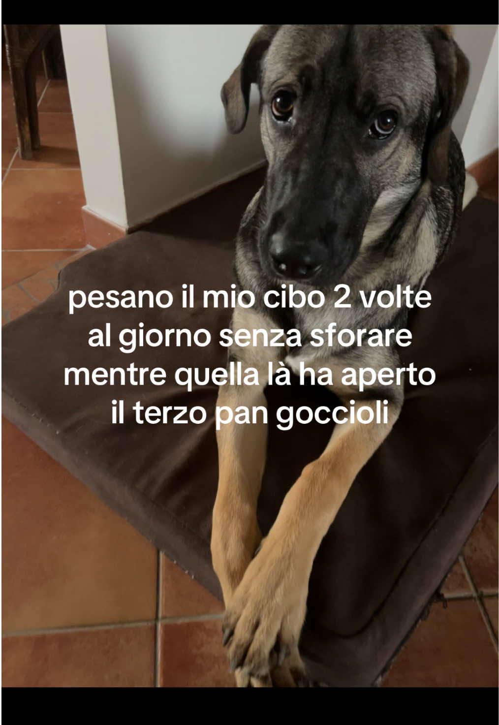 @Nicolly Cabral