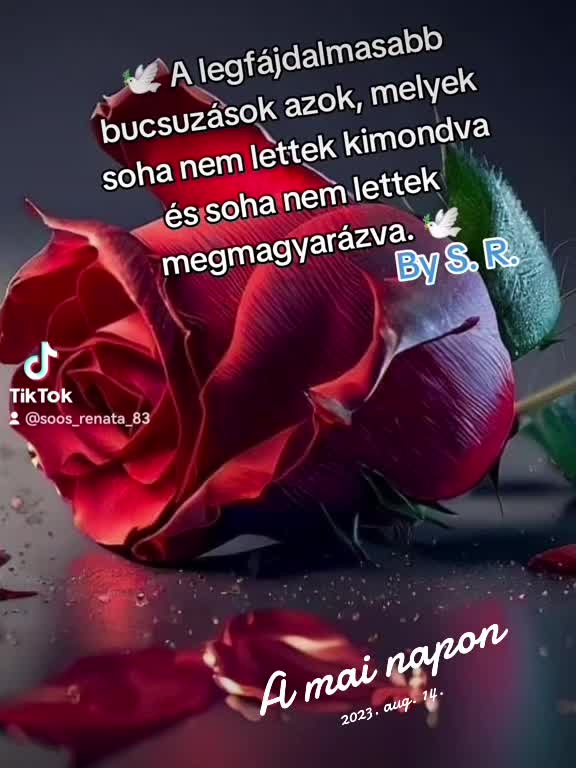 @🕊️🤍Renata Soos 🤍🕊️🎧