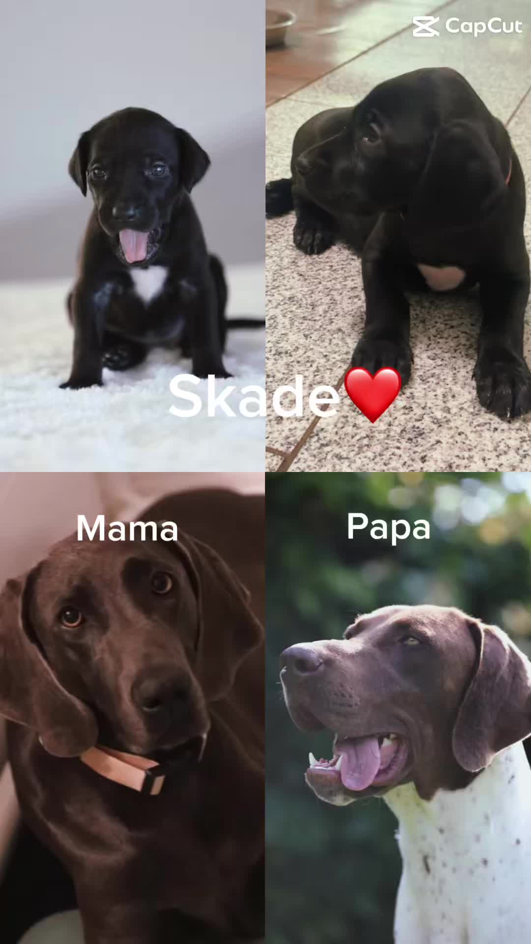 @Pilar_1619
