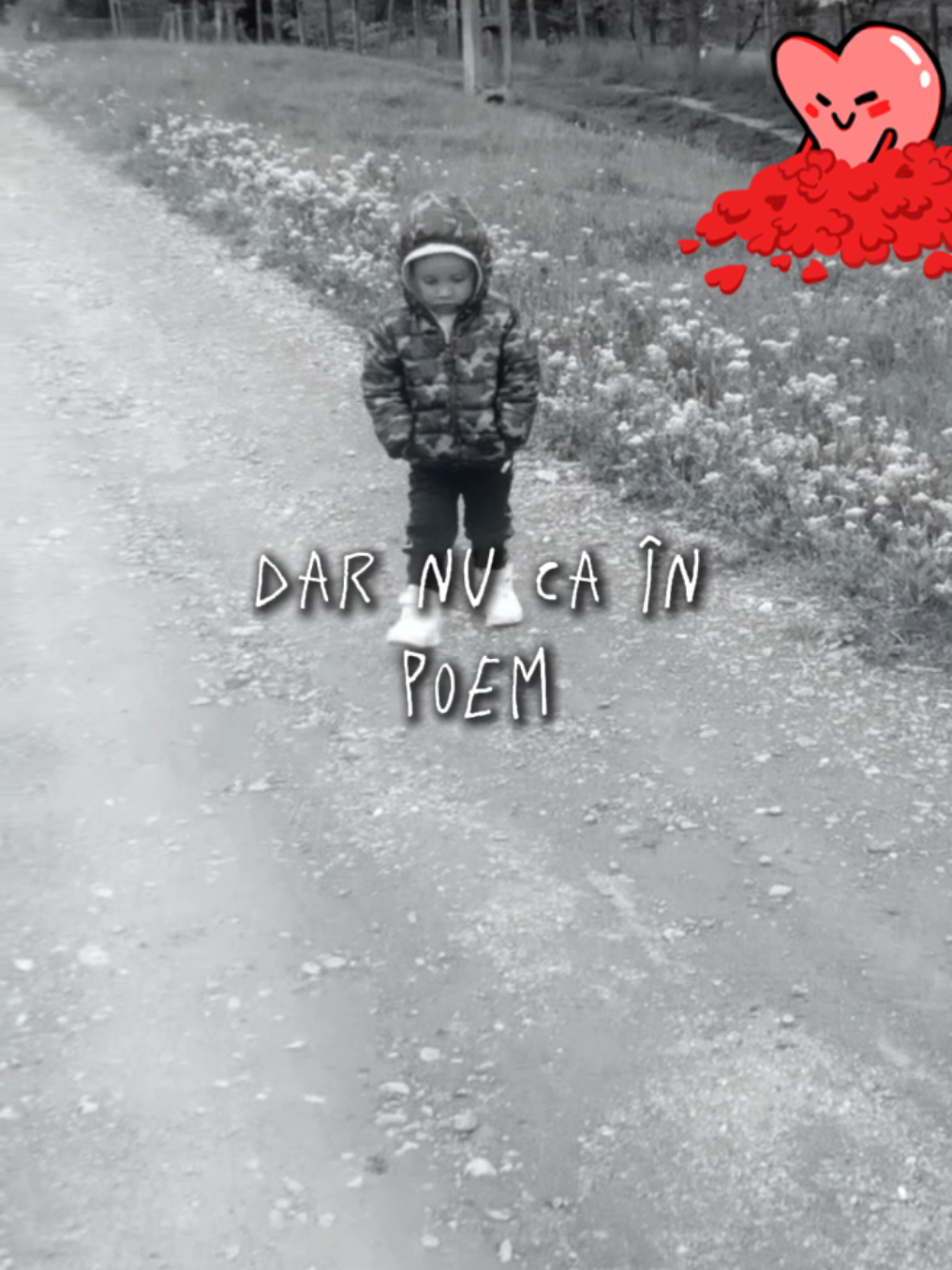 @Valerica Dumbravă